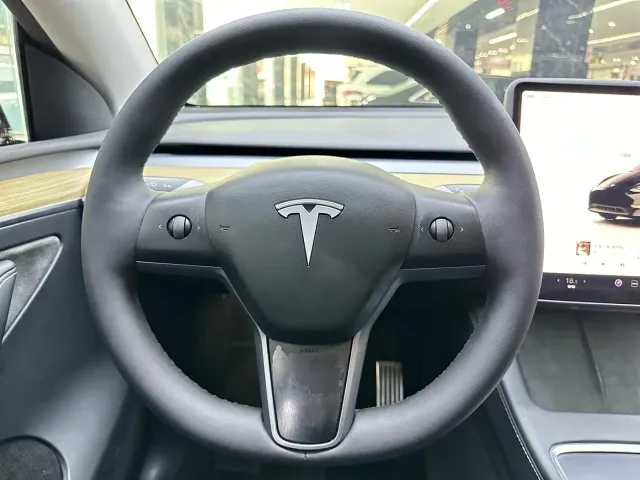 Tesla Model Y — Фото автомобиля 10