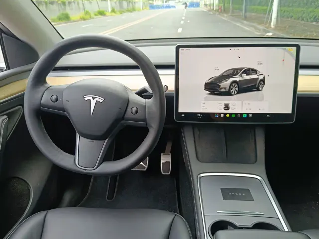 Tesla Model Y — Фото автомобиля 9