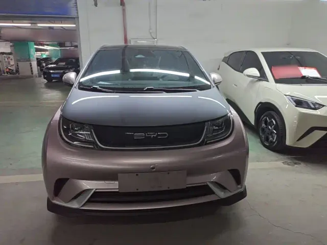 BYD Dolphin — Фото автомобиля 2
