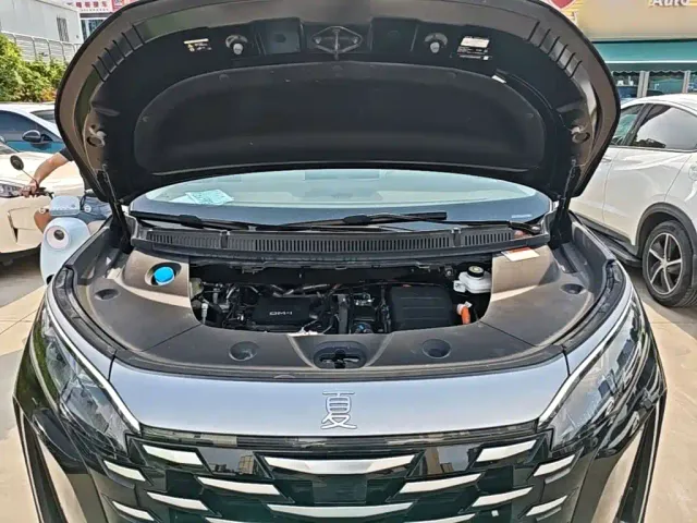 BYD Xia — Фото автомобиля 15