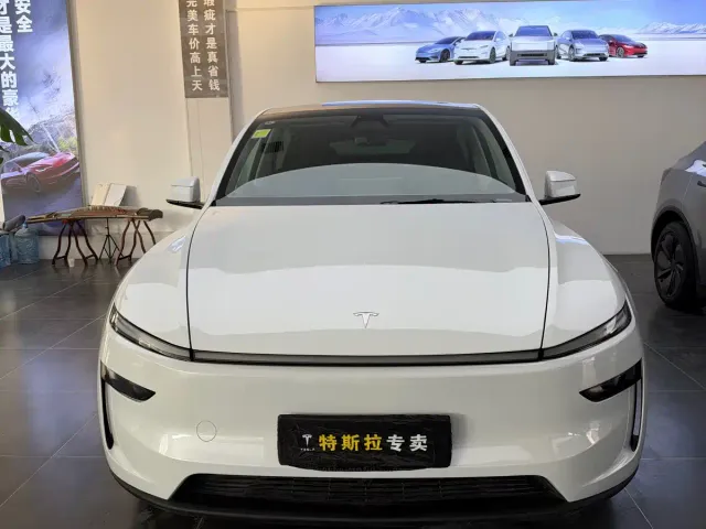 Tesla Model Y — Фото автомобиля 2