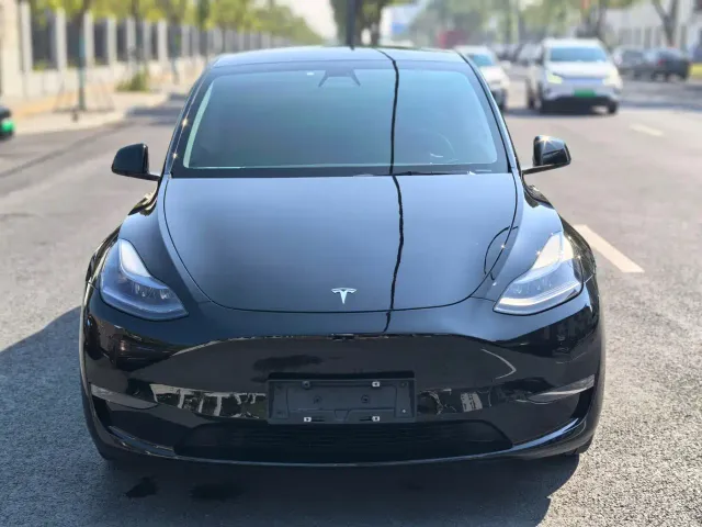 Tesla Model Y — Фото автомобиля 2