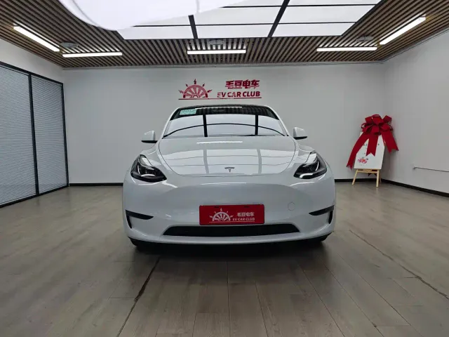 Tesla Model Y — Фото автомобиля 3