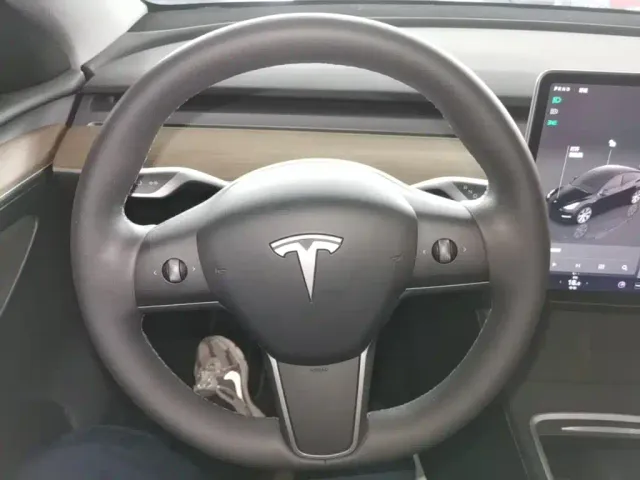 Tesla Model Y — Фото автомобиля 10