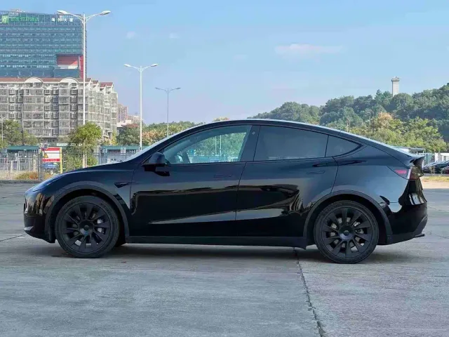 Tesla Model Y — Фото автомобиля 12
