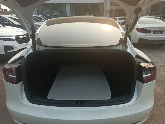 Tesla Model 3 2021 Standard Range Rear-Wheel Drive Upgrade 3D6 — Фото автомобиля 18