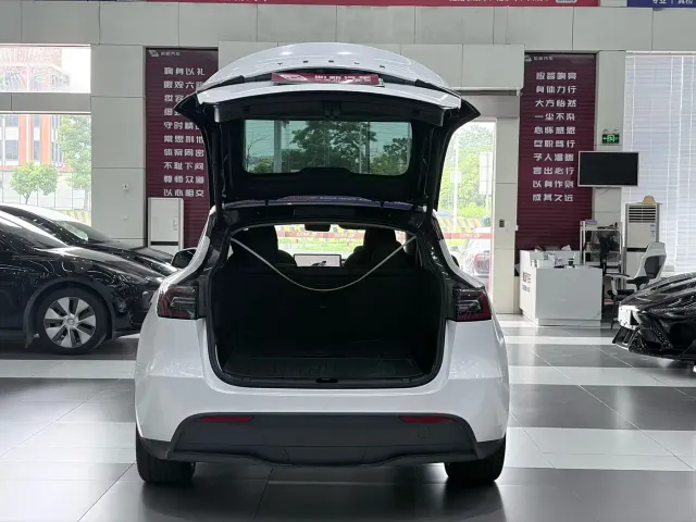 Tesla Model Y — Фото автомобиля 10