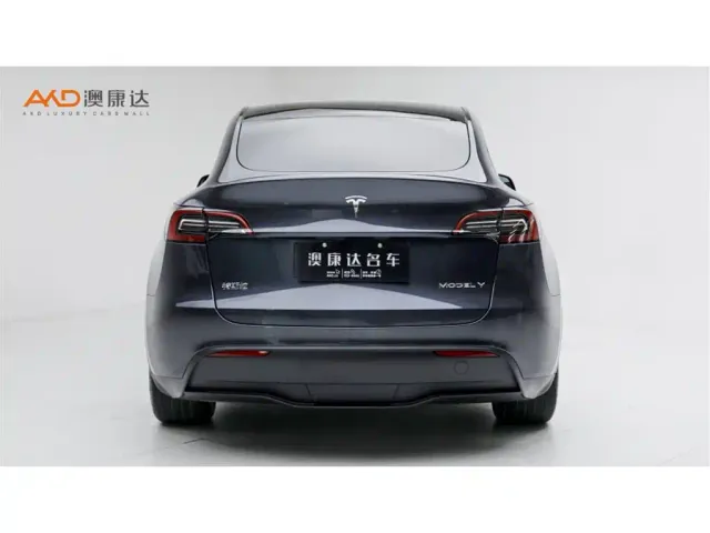 Tesla Model Y — Фото автомобиля 4