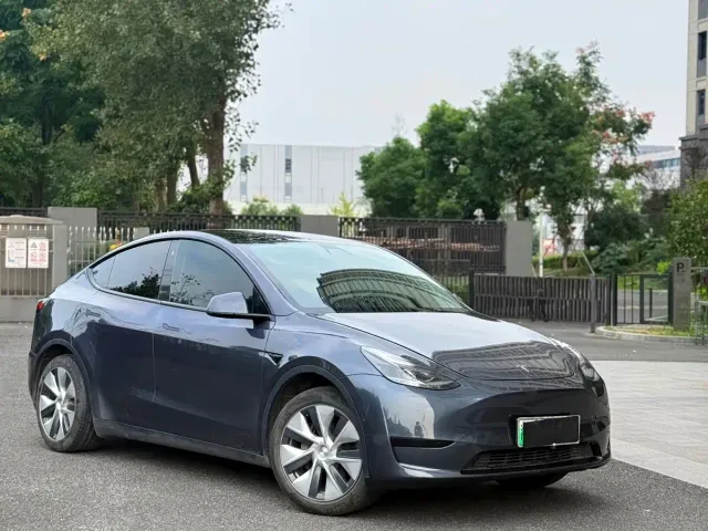 Tesla Model Y — Фото автомобиля 2