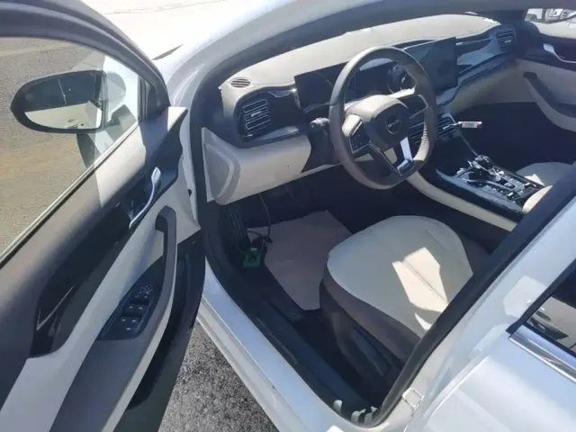 BYD Qin PLUS — Фото автомобиля 15