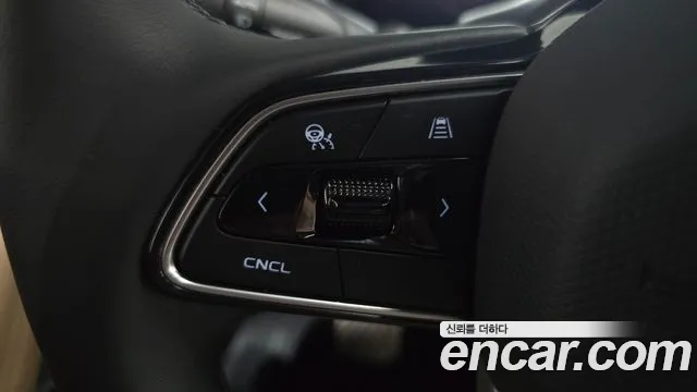 Renault-KoreaSamsung Grand Koleos Grand Koleos — Фото автомобиля 15