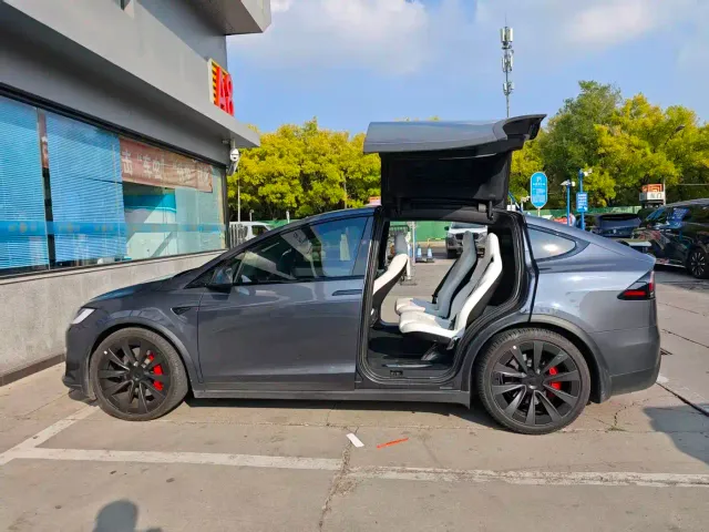 Tesla Model X — Фото автомобиля 14