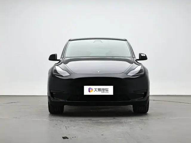 Tesla Model Y — Фото автомобиля 2