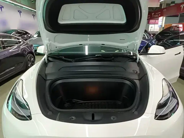Tesla Model Y — Фото автомобиля 19