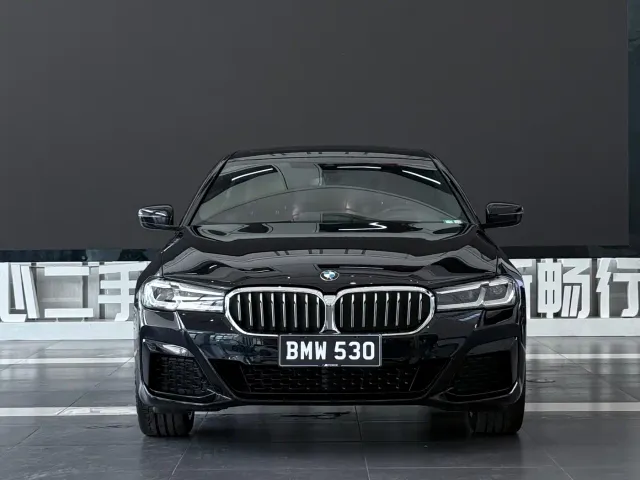 BMW 5 Series — Фото автомобиля 2
