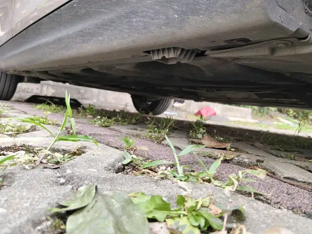 MINI Hatch — Фото автомобиля 15