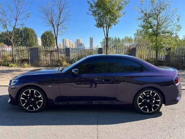 BMW 2 Series — Фото автомобиля 4