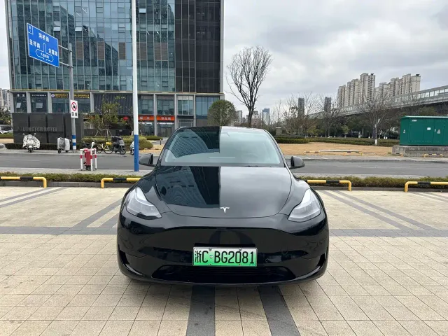 Tesla Model Y — Фото автомобиля 3
