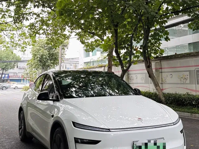 Tesla Model Y — Фото автомобиля 3