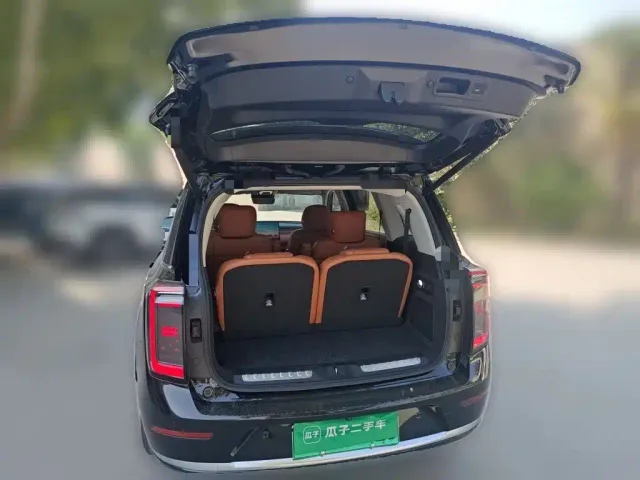 GAC Trumpchi Xiangwang S9 — Фото автомобиля 15