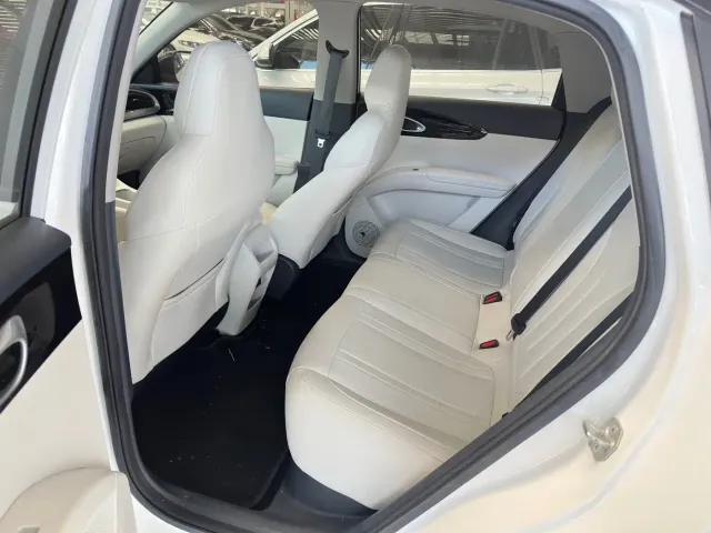 Geely Starry Wish — Фото автомобиля 11