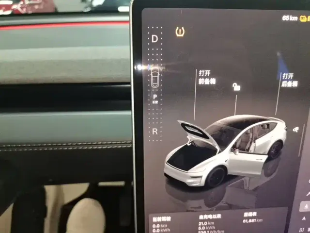 Tesla Model Y — Фото автомобиля 13