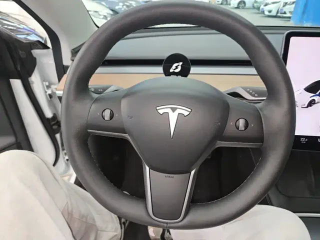 Tesla Model 3 — Фото автомобиля 10
