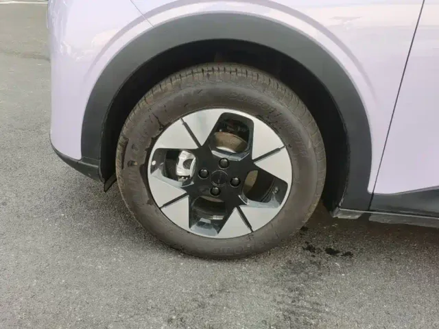 Geely Starry Wish — Фото автомобиля 22