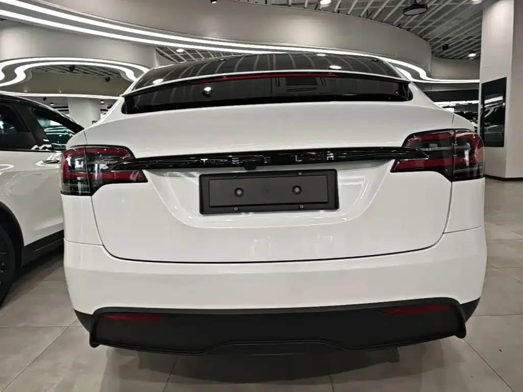 Tesla Model X 2023 Dual Motor All-Wheel Drive Edition — Фото автомобиля 5