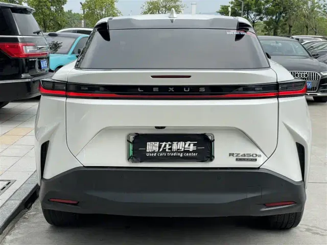 Lexus Lexus RZ 2023 450e 4WD Expedition Edition — Фото автомобиля 7