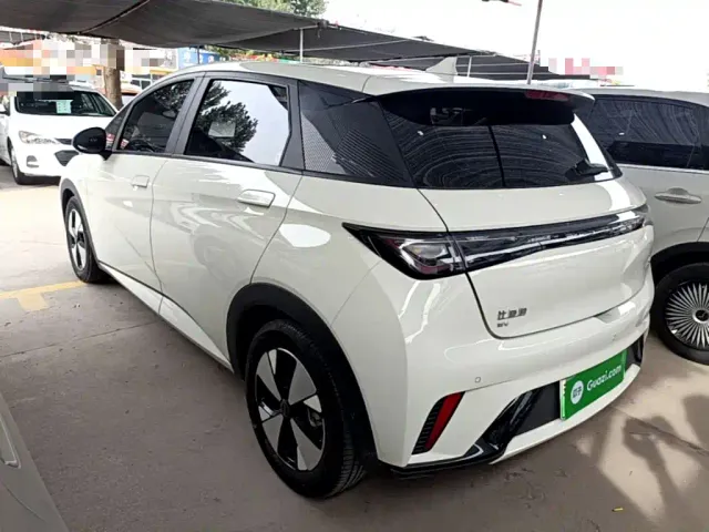 BYD Dolphin — Фото автомобиля 4