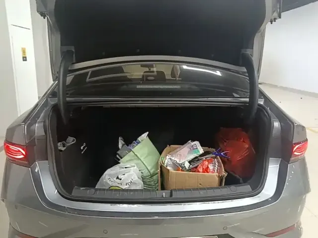 BYD Qin PLUS — Фото автомобиля 18