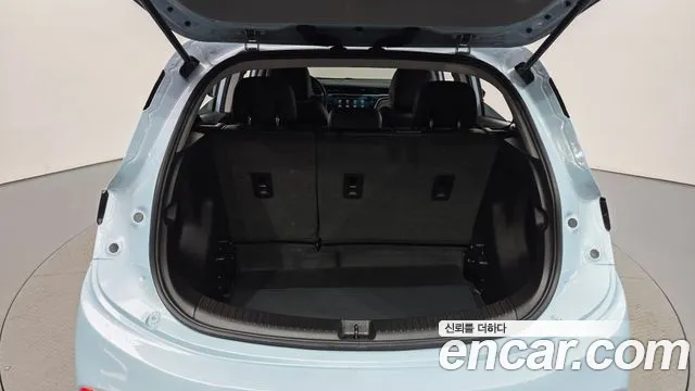 ChevroletGMDaewoo Bolt EV — Фото автомобиля 15