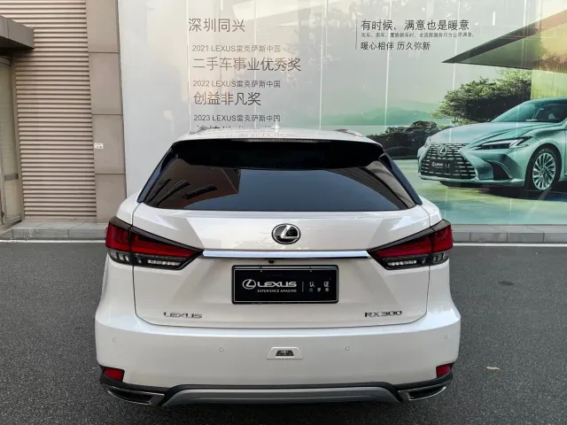 Lexus RX — Фото автомобиля 18