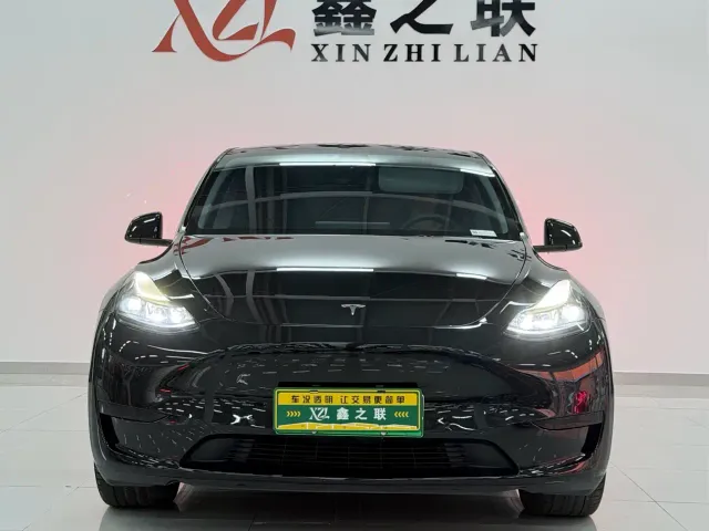 Tesla Model Y — Фото автомобиля 2
