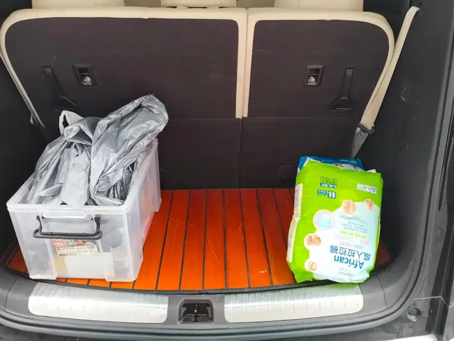 Denza Denza D9 2024 EV 600 AWD Premium — Фото автомобиля 4