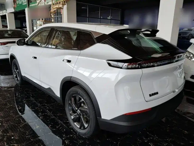 Dongfeng SKY EV01 — Фото автомобиля 4