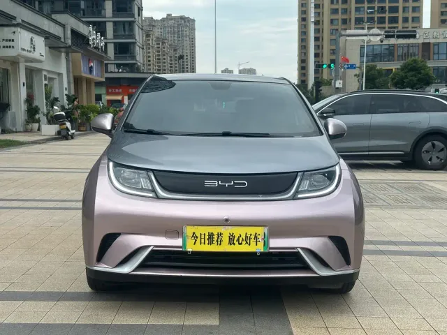 BYD Dolphin — Фото автомобиля 2