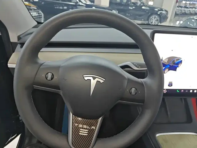 Tesla Model Y — Фото автомобиля 10