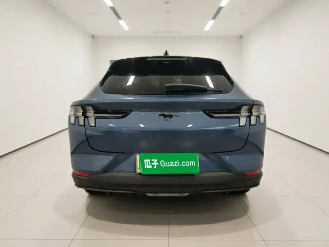 Ford Mustang Mach-E — Фото автомобиля 5