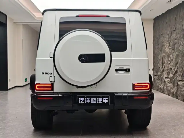 Mercedes-Benz G-Class — Фото автомобиля 17