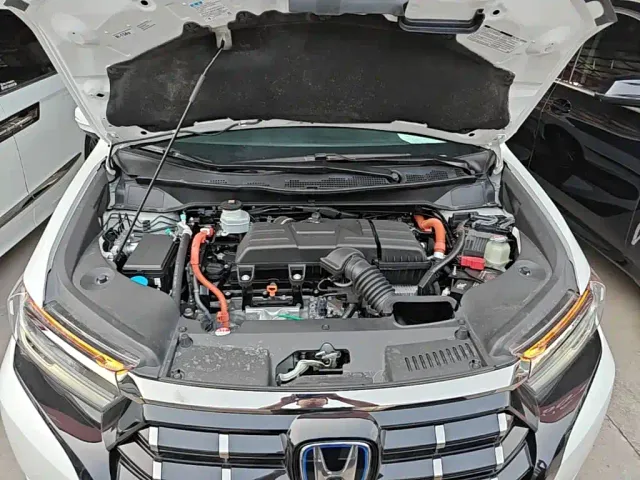 Honda Elysion — Фото автомобиля 19