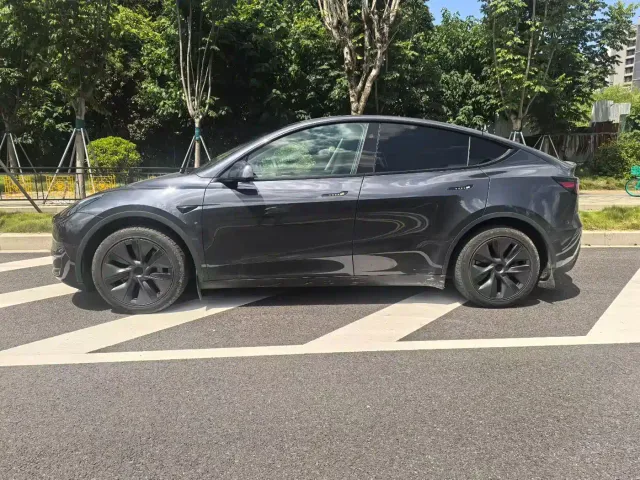 Tesla Model Y — Фото автомобиля 3