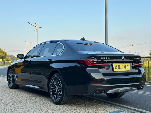 BMW 5 Series — Фото автомобиля 13