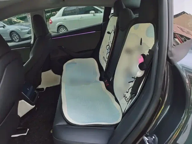 Tesla Model 3 — Фото автомобиля 16