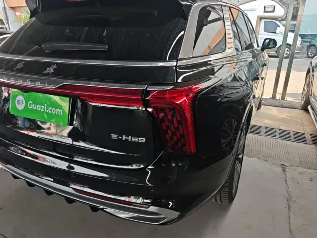 Hongqi E-HS9 — Фото автомобиля 7