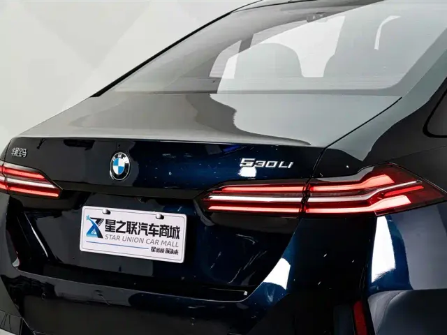 BMW 5 Series — Фото автомобиля 8
