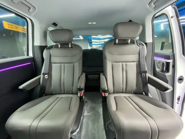 Maxus Dajia 7 — Фото автомобиля 19