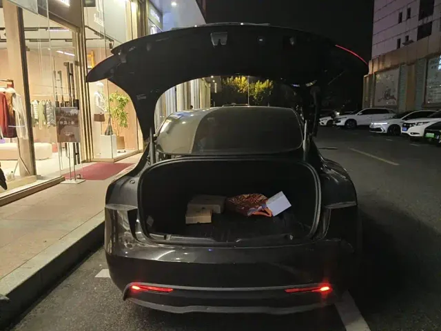 Tesla Model 3 — Фото автомобиля 5