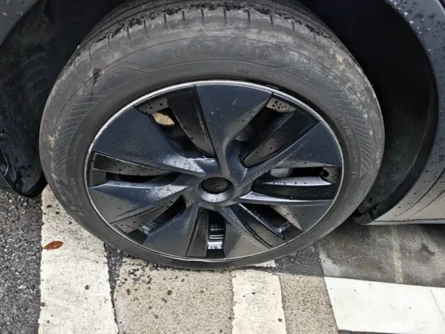 Tesla Model Y — Фото автомобиля 22